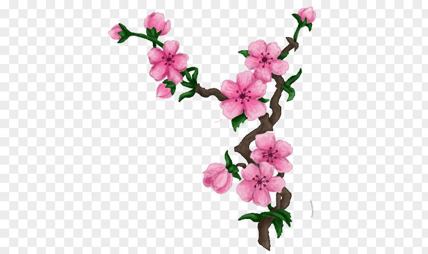 Cherry Blossom Drawing Art PNG