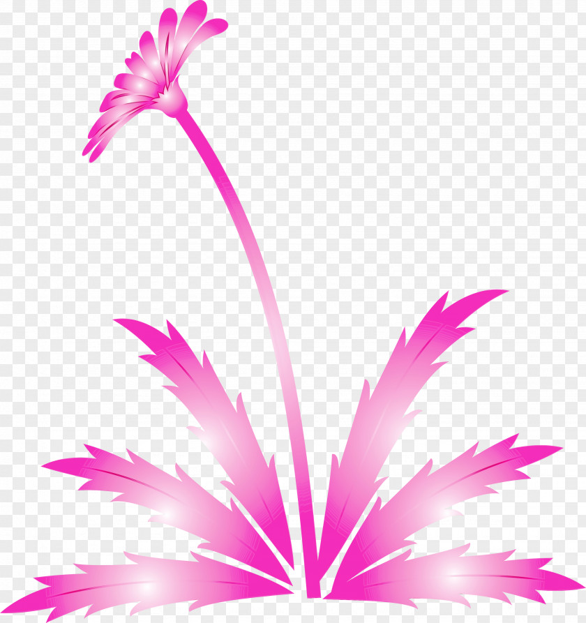 Feather PNG