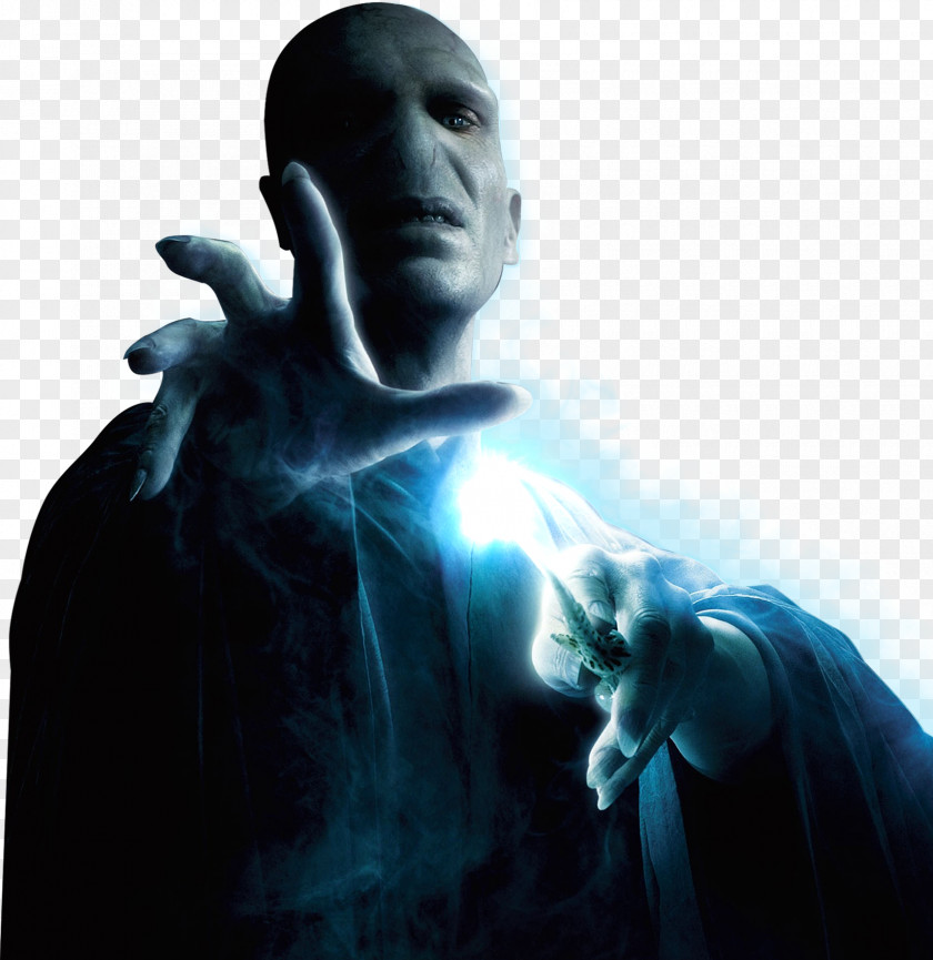 Harry Potter Lord Voldemort Hermione Granger Professor Severus Snape Albus Dumbledore PNG