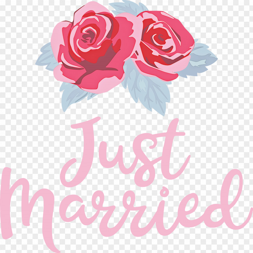 Just Married Wedding PNG