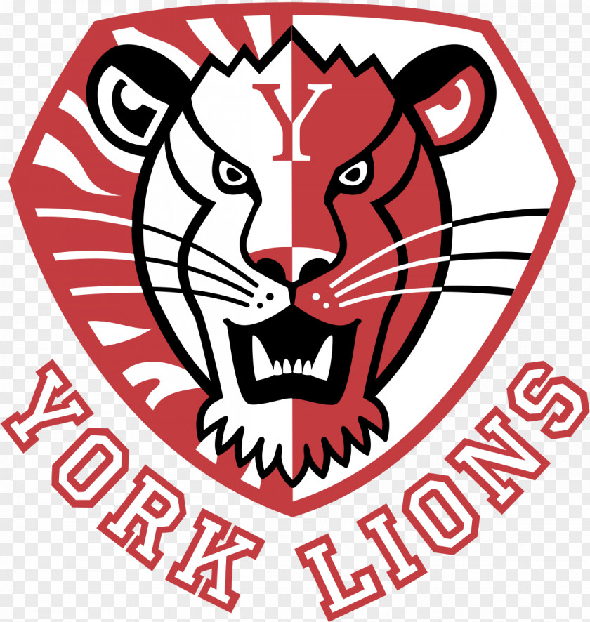 Student York University Lions Women's Ice Hockey Of Windsor PNG