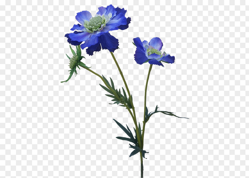 Artificial Flowers Mala Anemone Larkspur Cut Plant Stem Herbaceous PNG