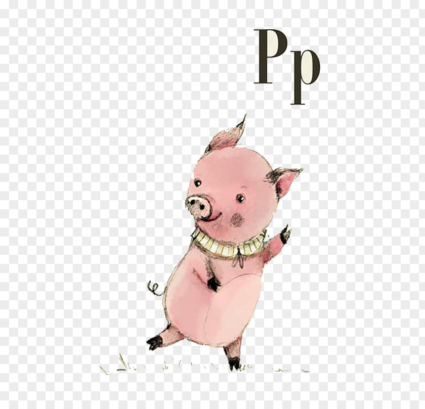 Cartoon Pig Domestic Illustrator Art Illustration PNG