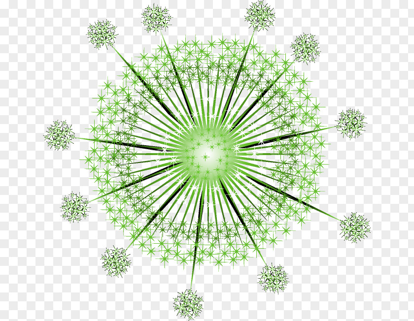 Fireworks Effect PhotoScape GIMP Flowering Plant Blog PNG