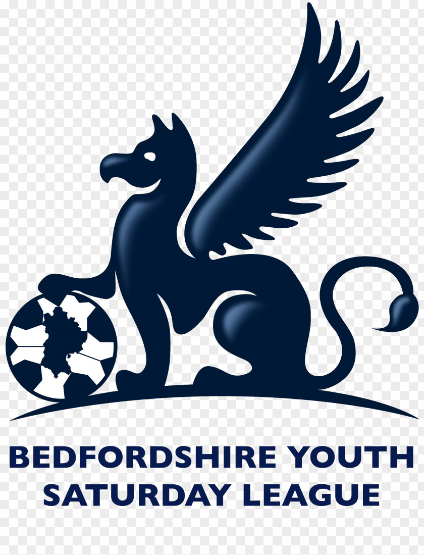 Football Bedfordshire County Association Leighton Town F.C. Dunstable PNG