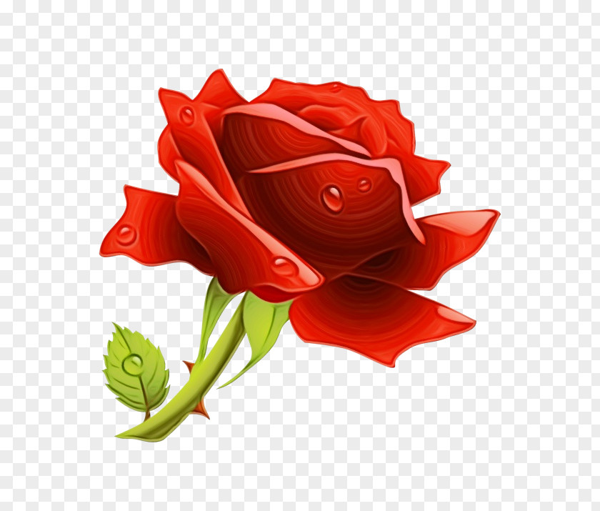 Garden Roses PNG