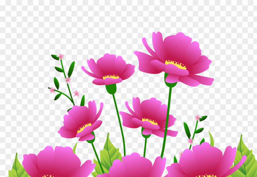 Red Rose Flower Pink PNG