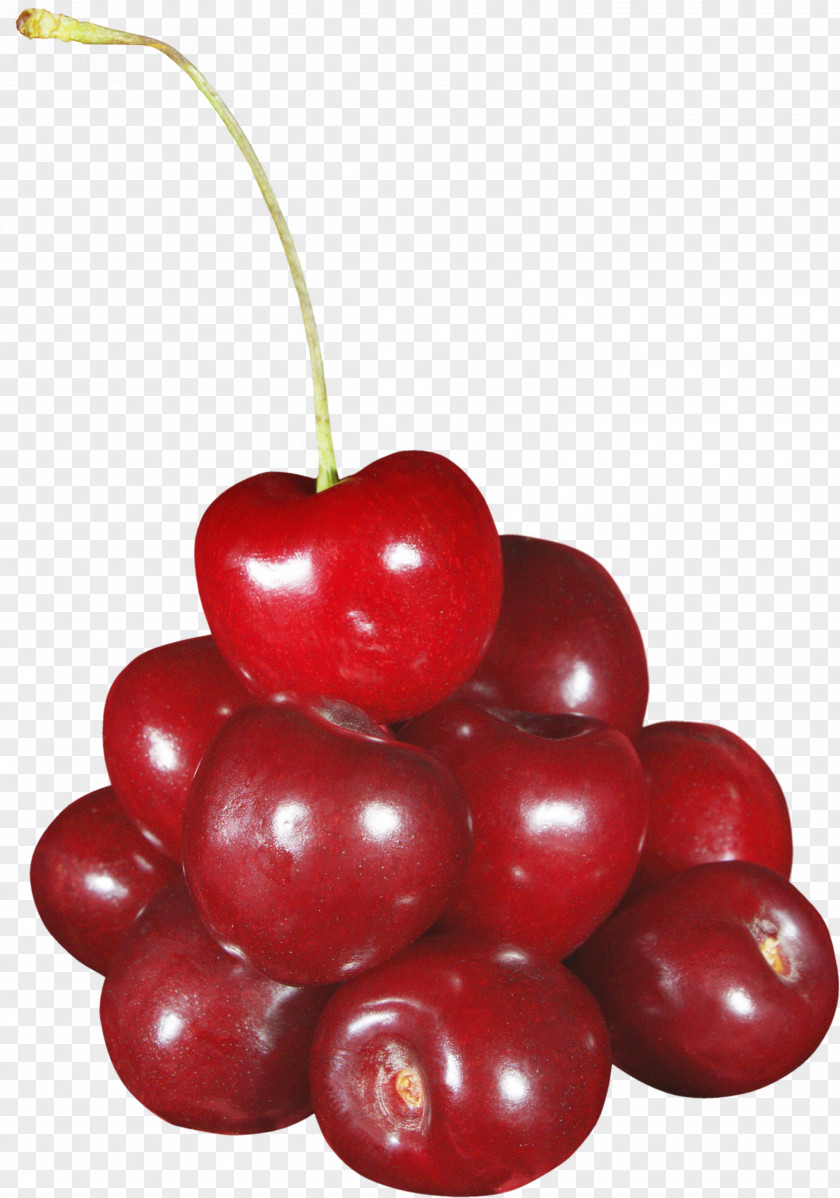 Cherry Image Fruit PNG