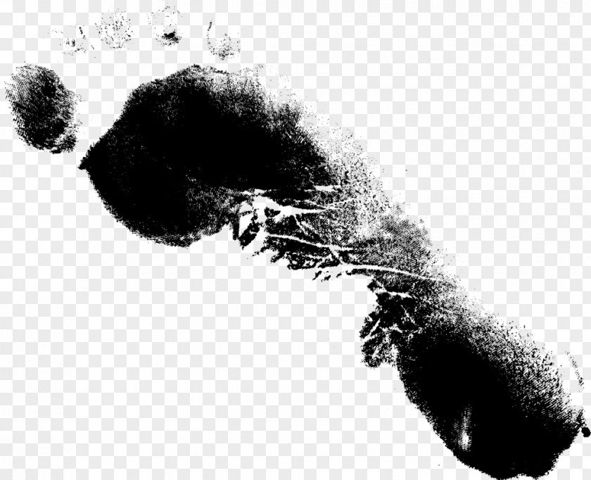 Footprint Black And White Drawing Monochrome Photography Paper PNG