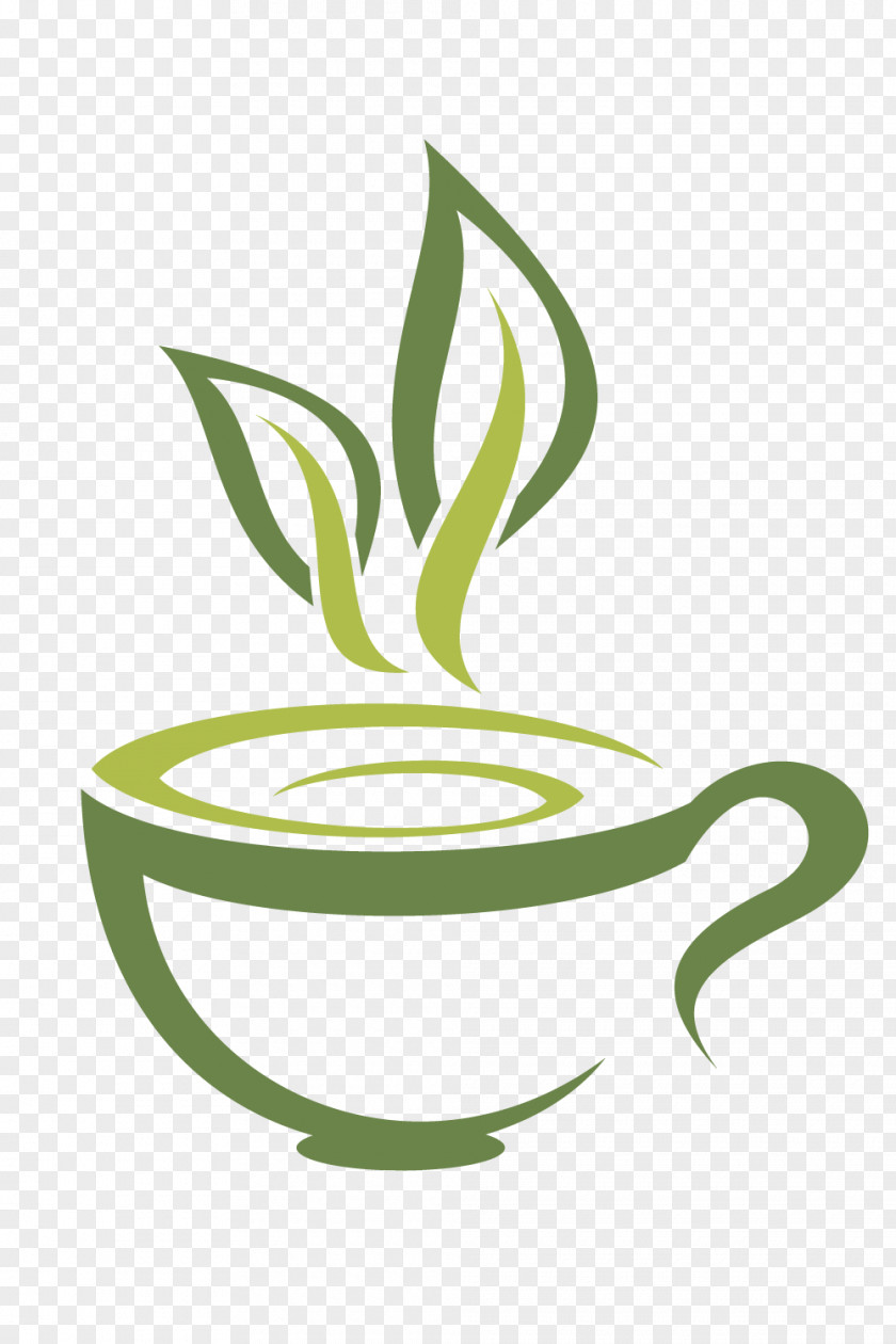 Fuding White Tea Vector Material Green Coffee Teacup PNG