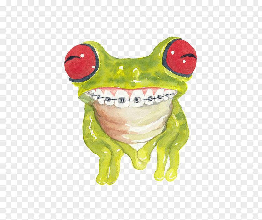 Green Tree Frog Cat Watercolor Painting Dental Braces PNG
