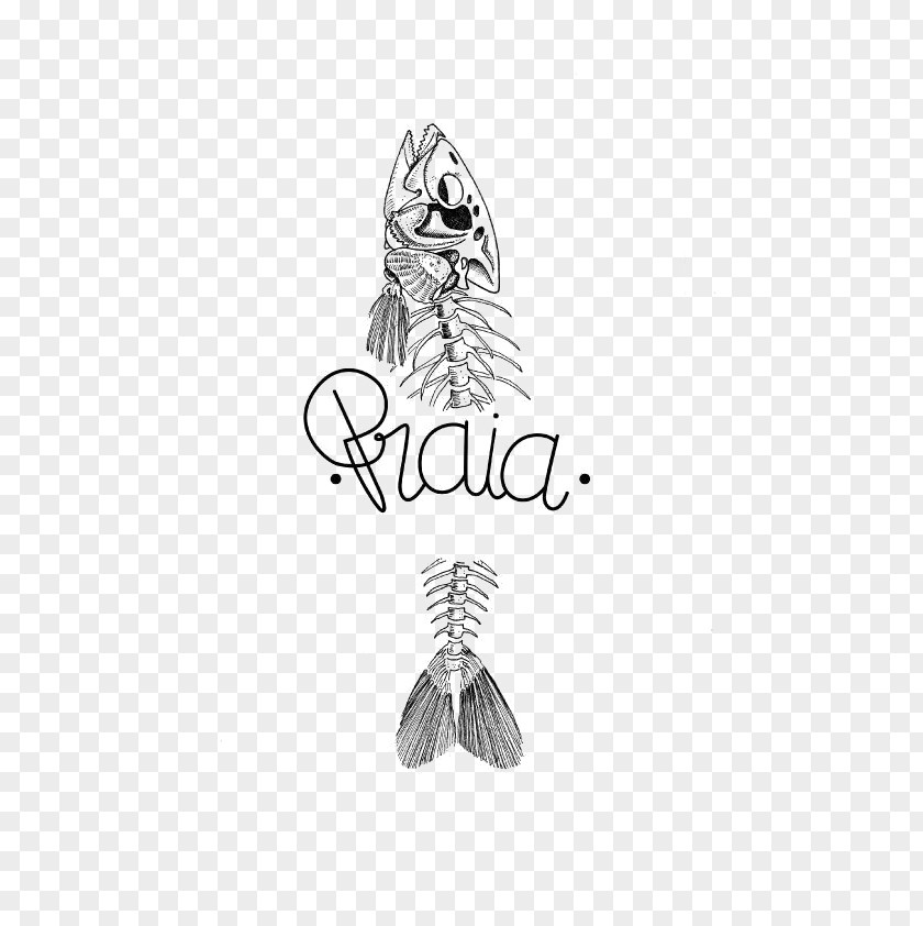 Hand-painted Fish Bones Drawing Pencil Logo Sketch PNG