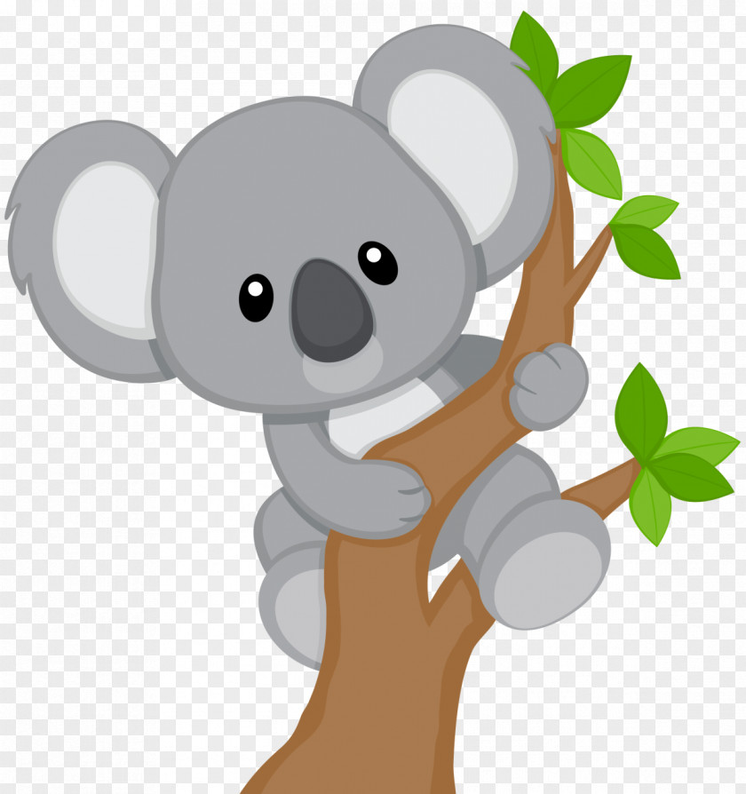 Koala Baby Billabong Zoo Bear Clip Art PNG