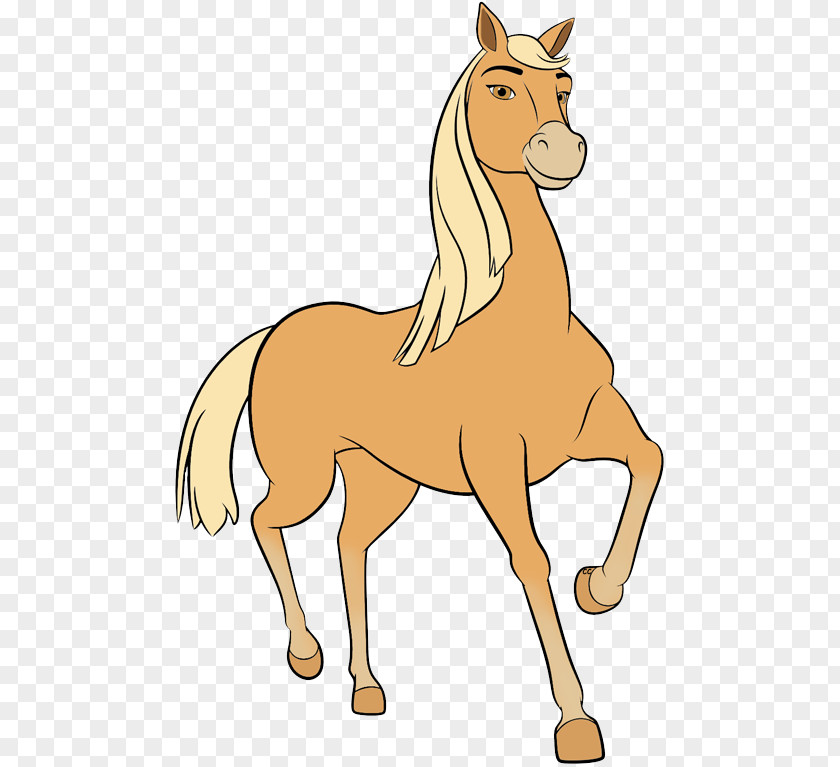 Mustang Mule Pony Drawing Clip Art PNG