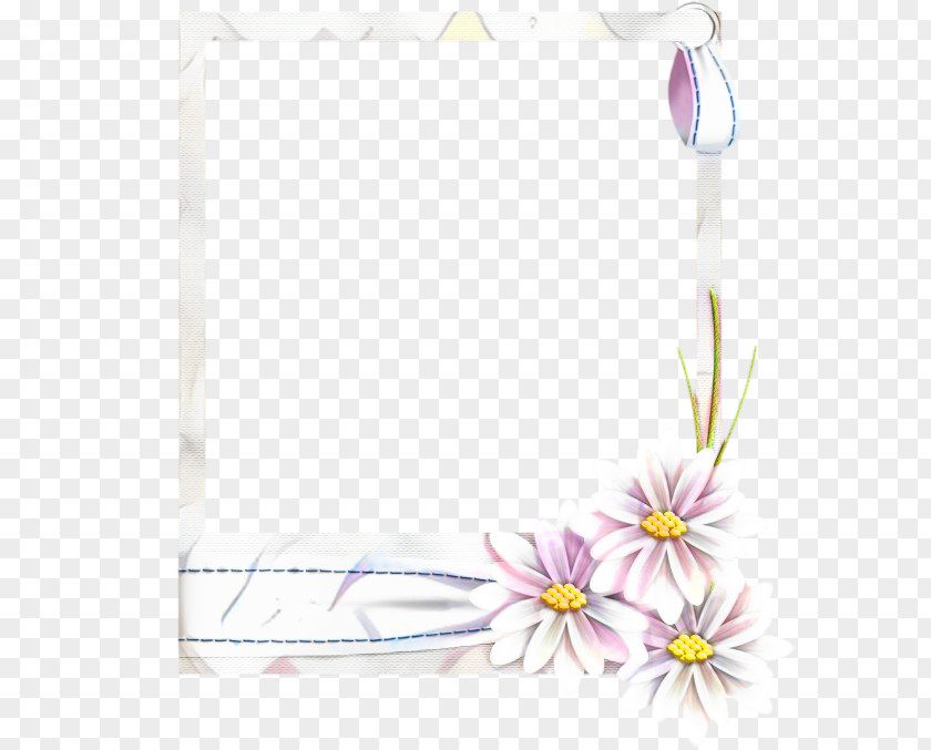 Plant Wildflower Background Flower Frame PNG