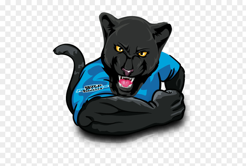 Cat Black Panther Physical Fitness Exercise PNG