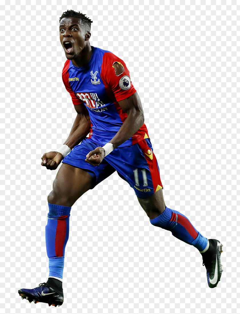 Football Crystal Palace F.C. Soccer Player PNG