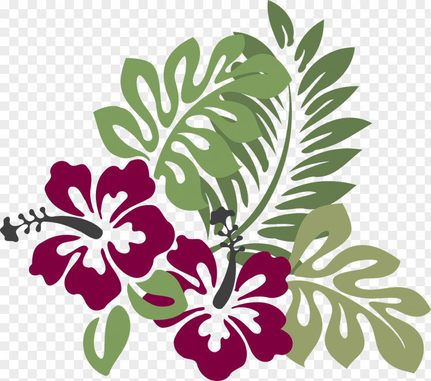 Hibiscus Flower Drawing Hawaiian Clip Art PNG