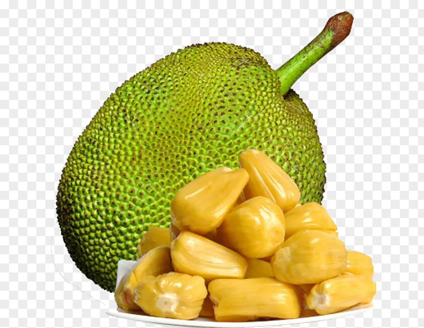 Pineapple Tree Sanya Jackfruit Bun Cempedak PNG