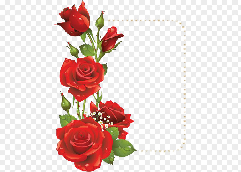 Red Flower Frame File Rose Picture Clip Art PNG