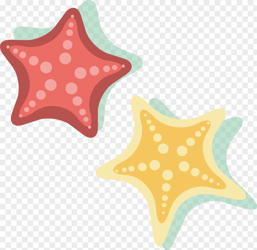 Starfish Vector Plane Euclidean Font PNG