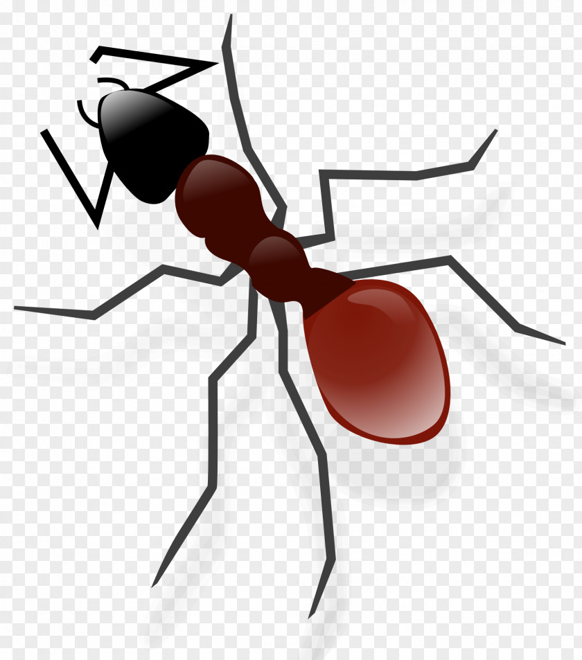 Ant Anteater Clip Art PNG