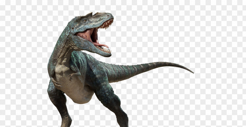Dinosaur Gorgosaurus Tyrannosaurus Edmontosaurus Patchi Spinosaurus PNG