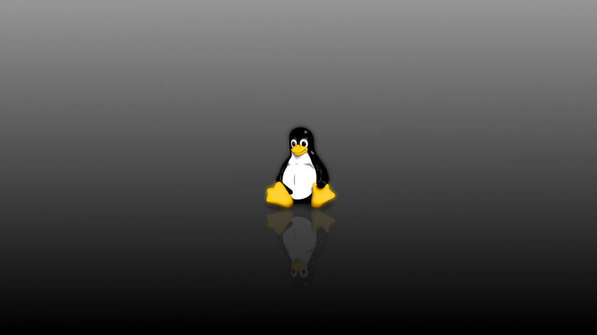 Linux Flightless Bird Penguin Vertebrate Wing PNG