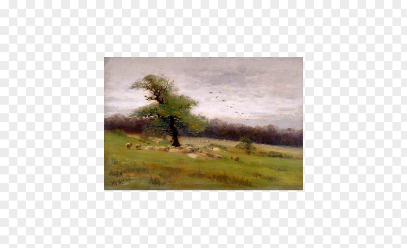 Painting Hampstead Heath Camden Local Studies And Archives Centre Vale Of Health Pond Art PNG