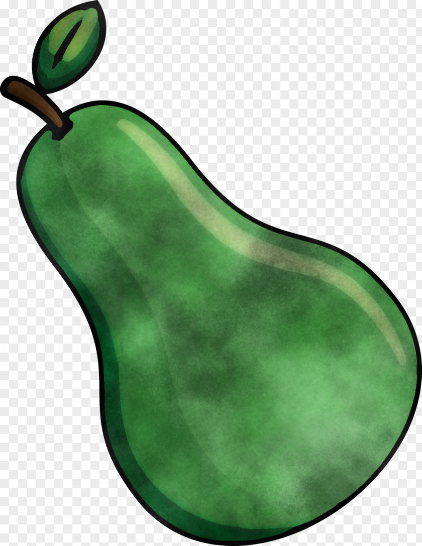 Vegetable Green Plants Fruit Biology PNG