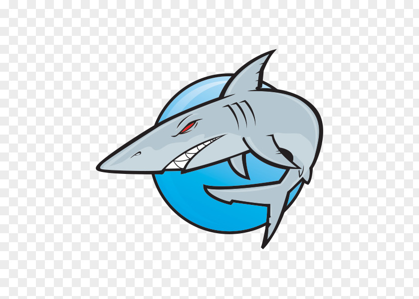 Cartoon Shark Great White Hammerhead PNG