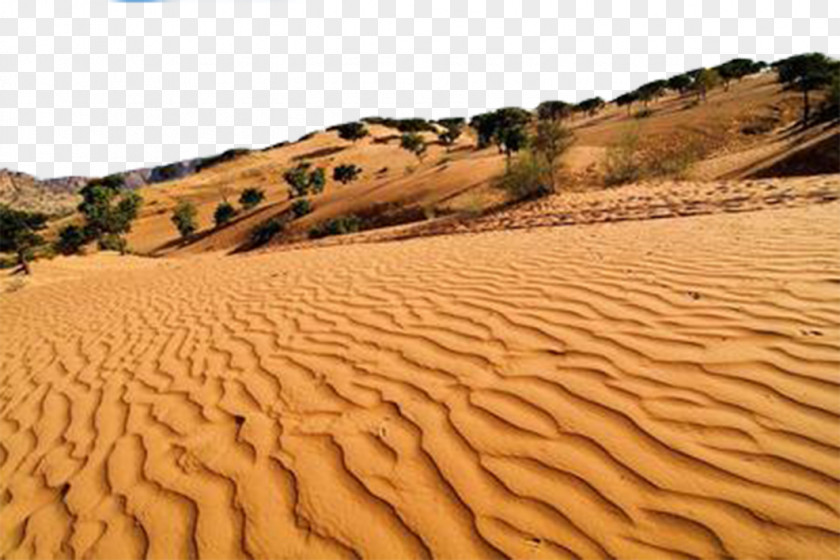 Desert Photos Erg Sand Euclidean Vector PNG
