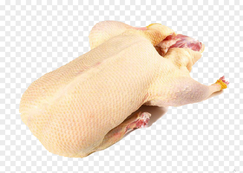 Duck Domestic Meat Poultry PNG