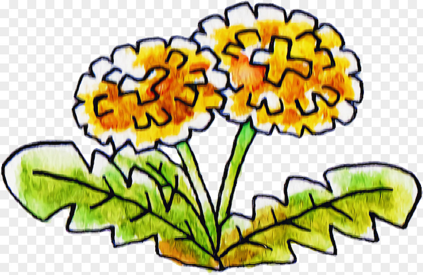 Floral Design PNG