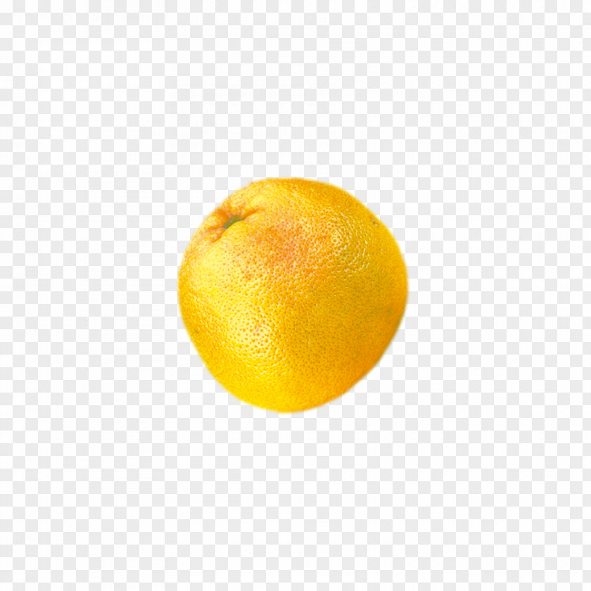 Grapefruit Lemon Tangerine PNG