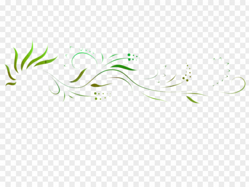 Logo Font Graphic Design Calligraphy Leaf PNG