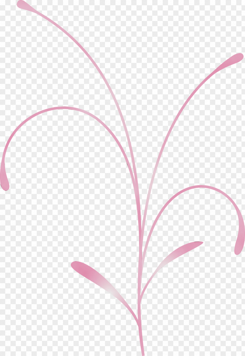 Pink Leaf Line Plant Flower PNG