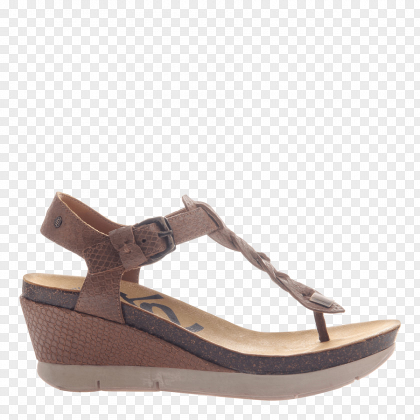 Sandal Slide Graceville Shoe Chestnut PNG