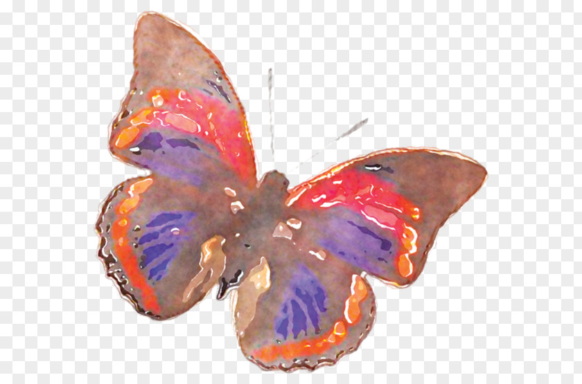 Watercolor Butterfly Nymphalidae Painting PNG