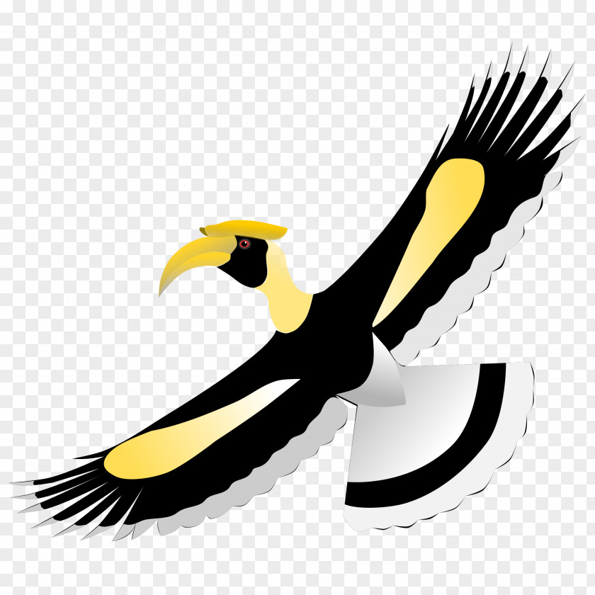 Bird Hornbill Clip Art PNG