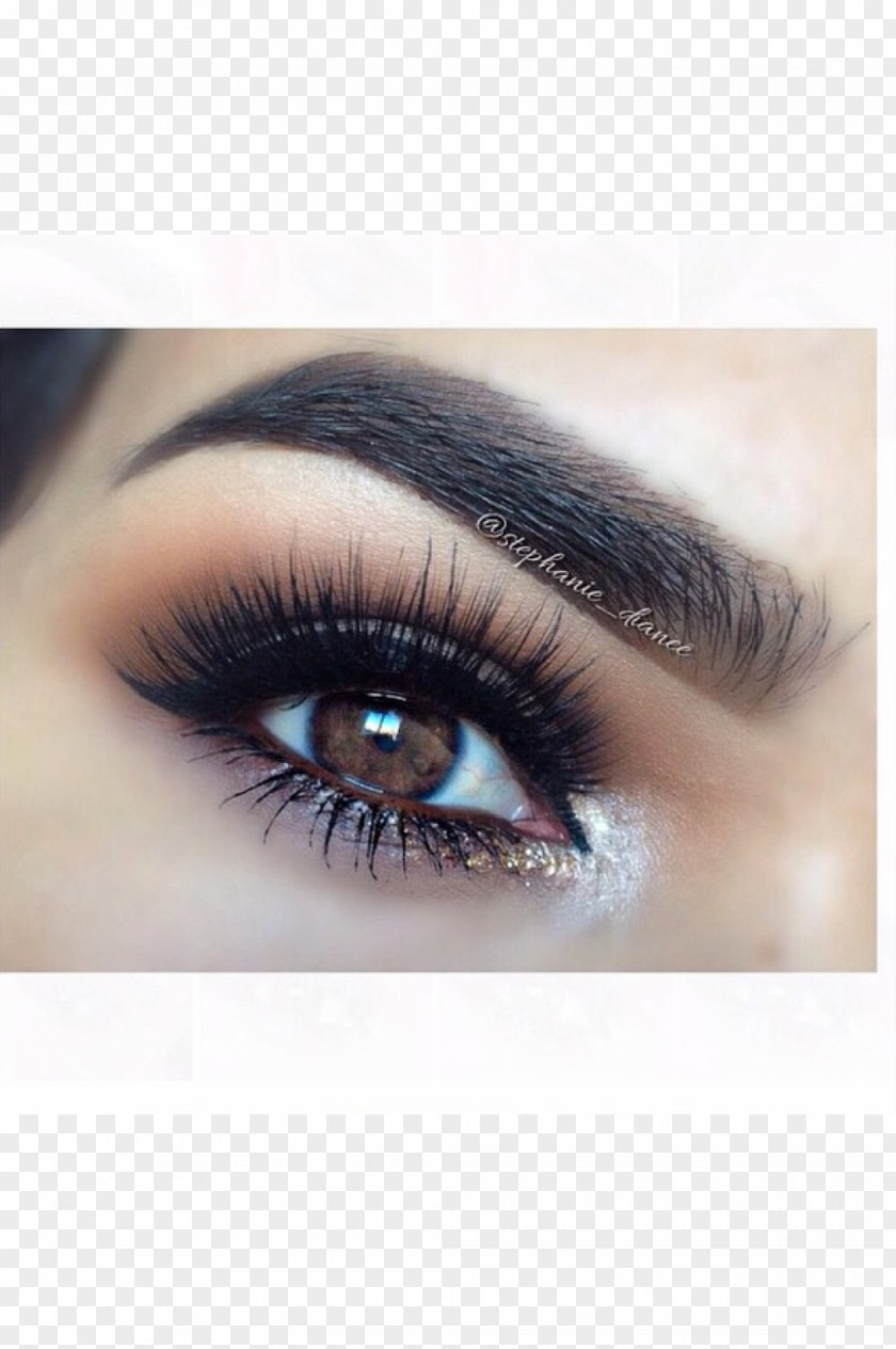 Lashes Eyebrow Eyelash Eye Shadow Cosmetics PNG