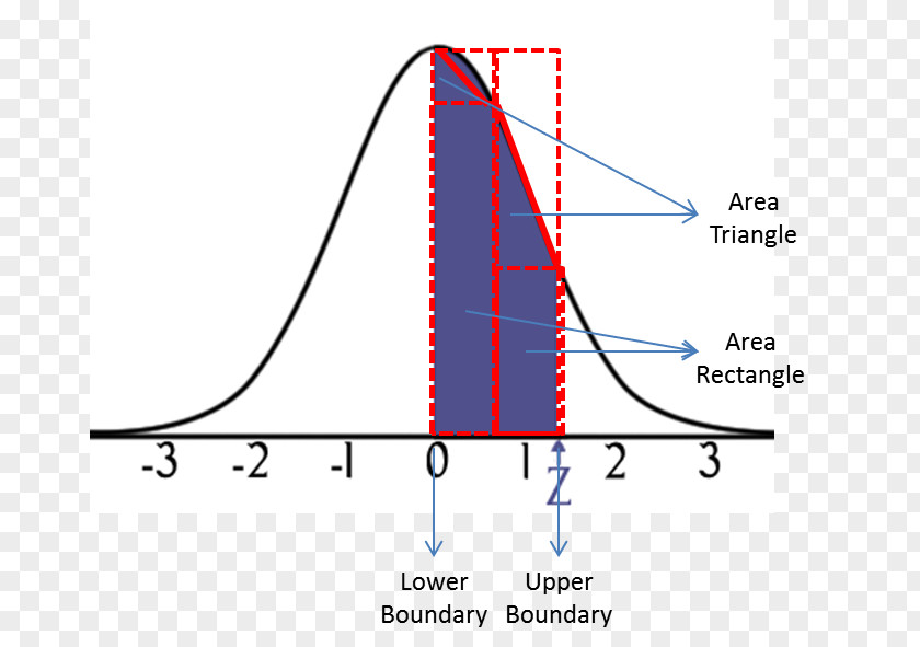 Normal Curve Distribution Probability Doc PDF Microsoft Word PNG