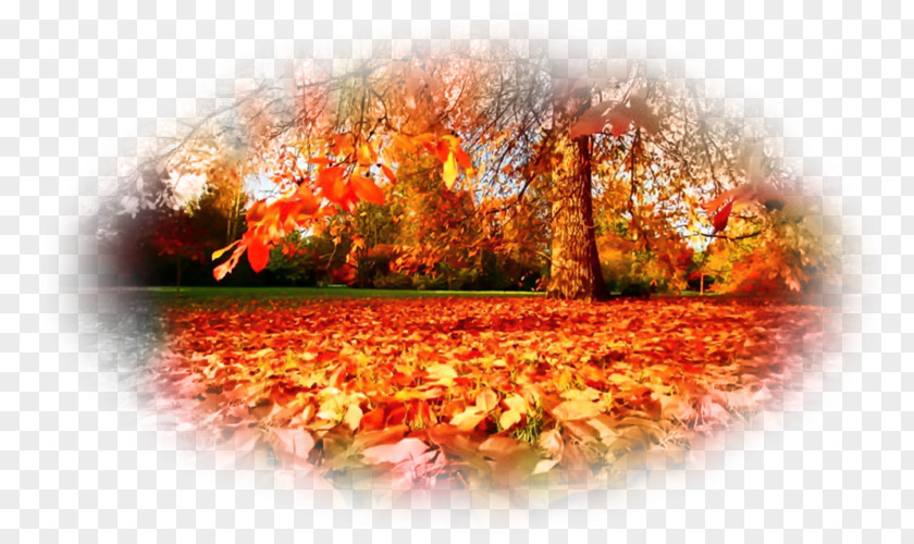 September 15th. Landscape LeafAutumn Autumn Desktop Wallpaper On This Day PNG