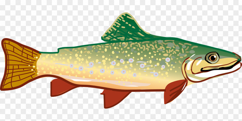 Slender Fish Rainbow Trout Clip Art PNG