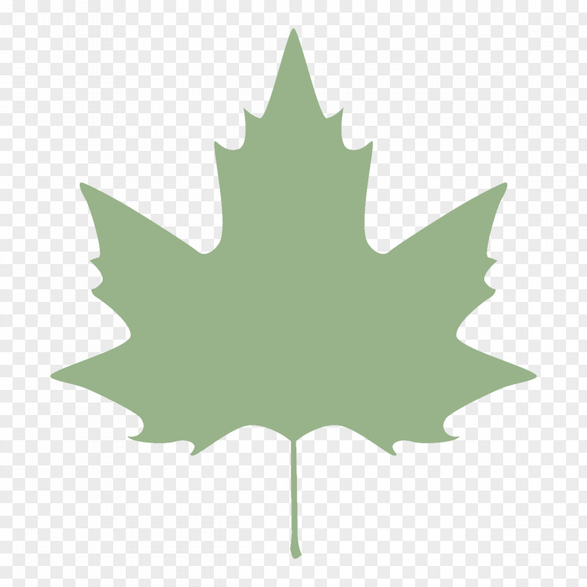 Holly Black Maple Leaf PNG