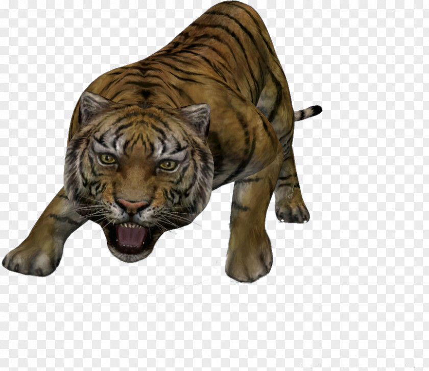 Mighty Tiger 3D Computer Graphics Modeling PNG