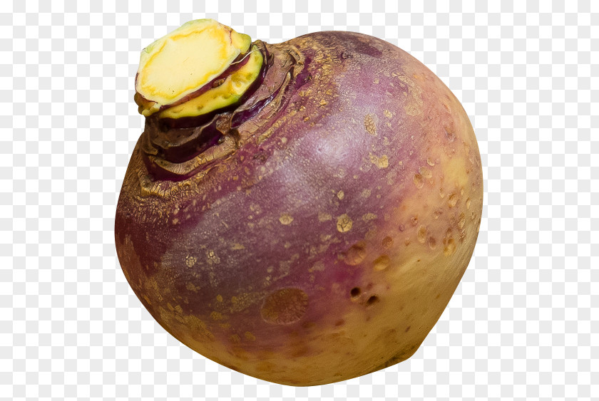 Rutabaga Turnip Daikon PNG