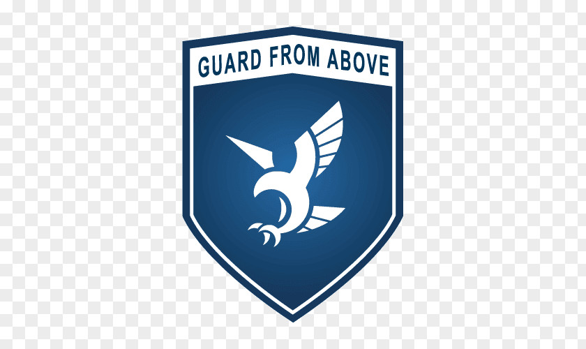 Security Guarding Logo Bird Of Prey United States PNG