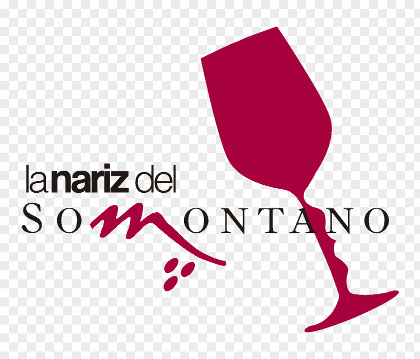 Wine Somontano De Barbastro DO Cariñena Navarra PNG