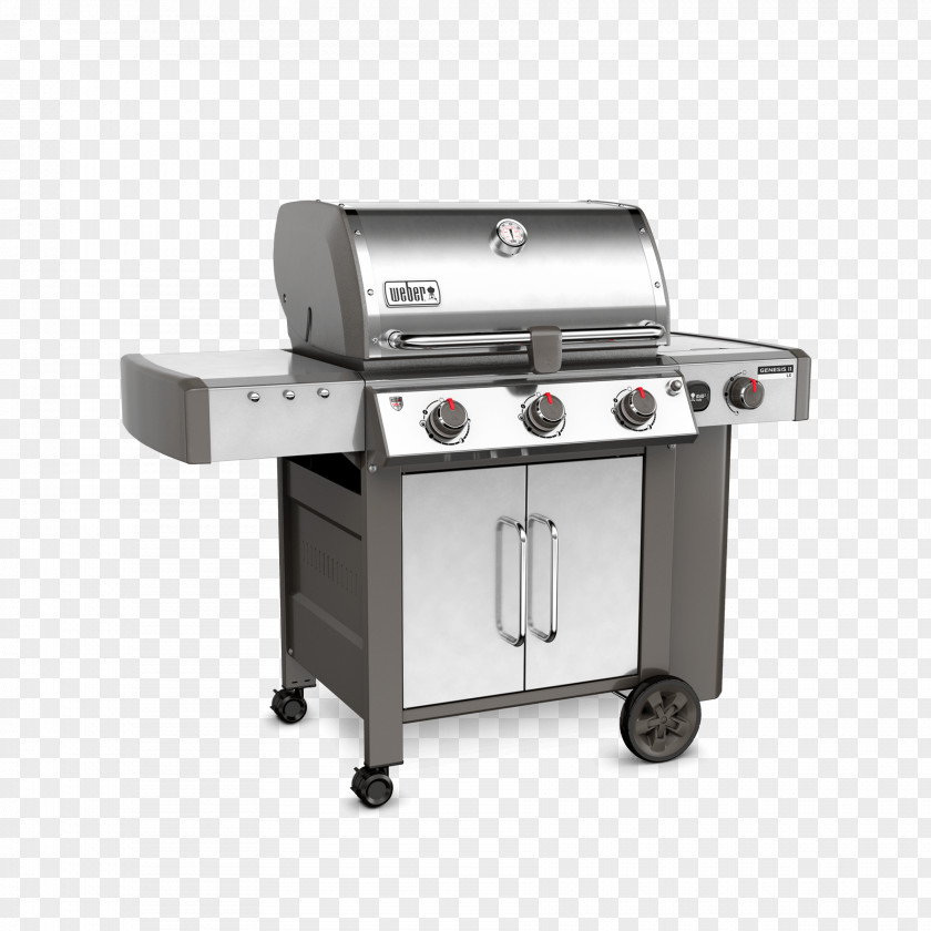 Barbecue Weber-Stephen Products Propane Natural Gas Burner PNG